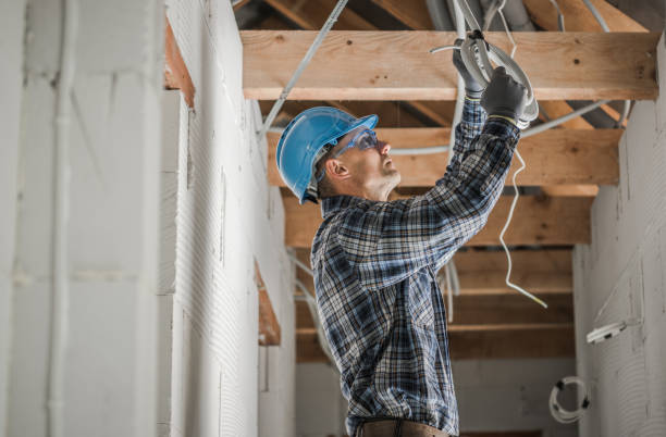 Best Electrical System Inspection  in Dunedin, FL