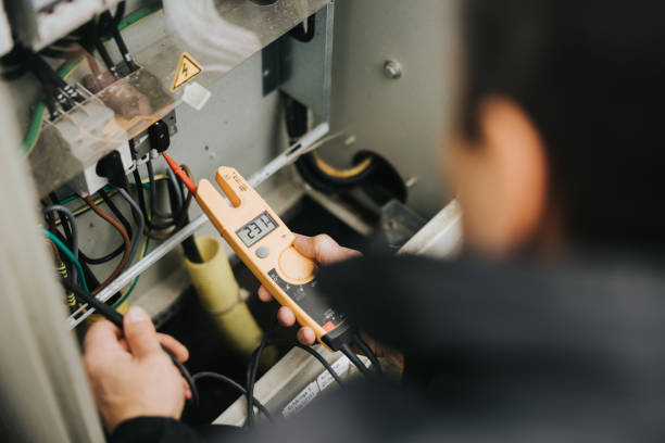 Best Ceiling Fan Installation Electrician  in Dunedin, FL