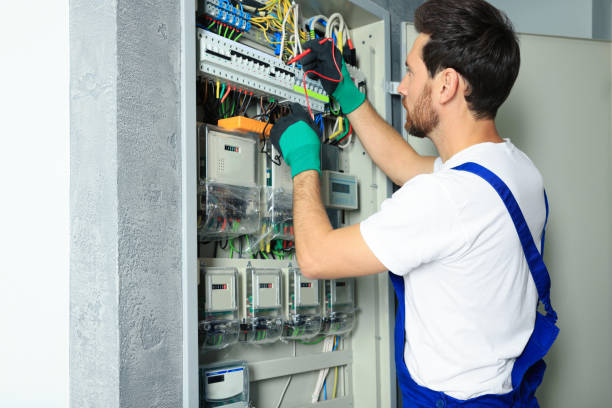 Best Licensed Electrician  in Dunedin, FL